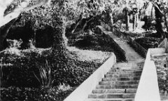 ORAN 02323